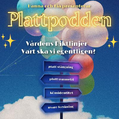 2. Riktlinjerna - Vart ska vi egentligen?