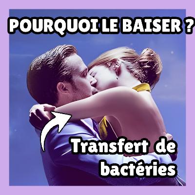 Pourquoi les humains s’embrassent ? 💋