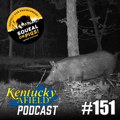 #151 Terri Brunjes - Wild Pigs in KY, Issues and Efforts, Paddlesports