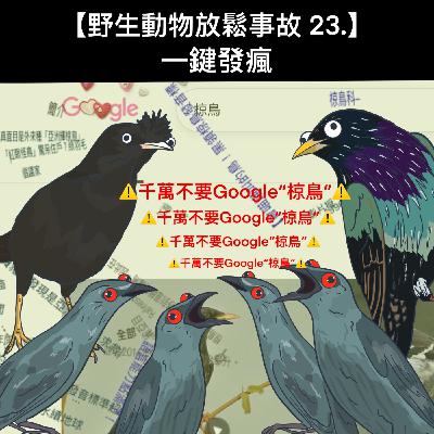 野生放鬆事故23. 一鍵發瘋 野生放鬆事故23. 一鍵發瘋