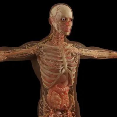 285 Los misterios del cuerpo humano