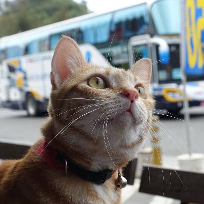 走過的藍色人生-幹話賞析第一集-不爽不要做