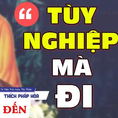 Tùy nghiệp mà đi - Vấn Đáp Thầy Pháp Hòa (sâu sắc - ý nghĩa)