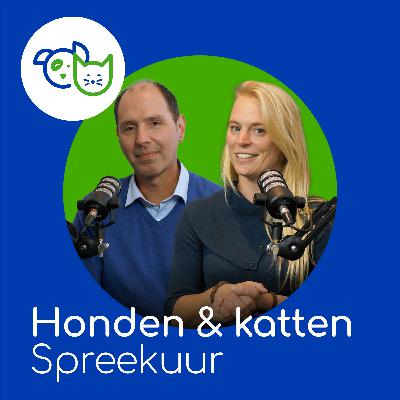 Op spreekuur: Knoop het in je oren Op spreekuur: Knoop het in je oren