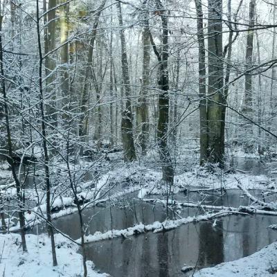 Matryoshka 3.5 - The Storm Matryoshka 3.5 - The Storm