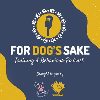 Is it really a training problem?