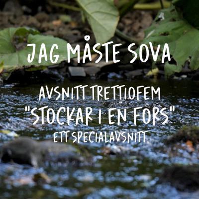 Episod 35 - Stockar i en fors