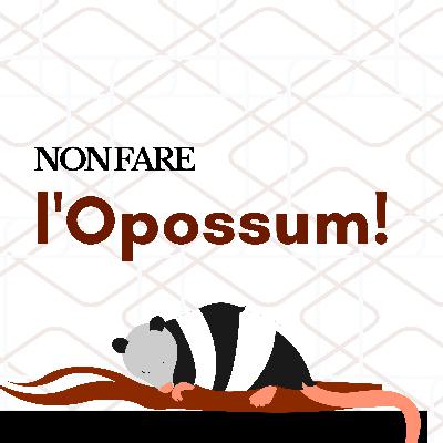Trailer - Non far l'opossum Trailer - Non far l'opossum