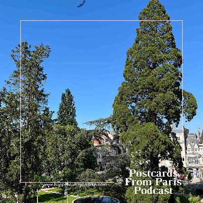 Spring into Presence: Cultivating Inner Strengths Like A Towering Tree Spring into Presence: Cultivating Inner Strengths Like A Towering Tree