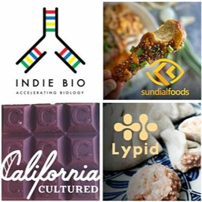 Lab Grown Chocolates, Plant Based Chicken Wings & Fats Lab Grown Chocolates, Plant Based Chicken Wings & Fats