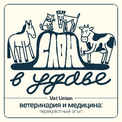 Успешная клиника без активных продаж: опыт DocMed для ветеринарии