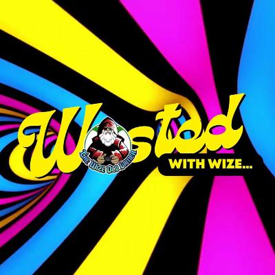 Wasted With Wize - Episode 112: Loser!