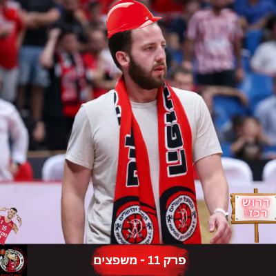 פרק 11: משפצים