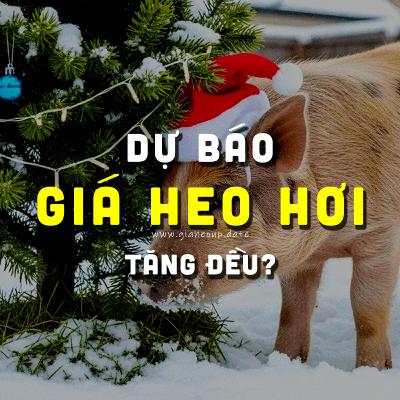 DỰ BÁO GIÁ HEO HƠI NGÀY MAI 25/12/2025 ▶ TĂNG NHẸ? ĐỘNG THÁI TỪ ÔNG LỚN CHĂN NUÔI... #GIAHEOHOI