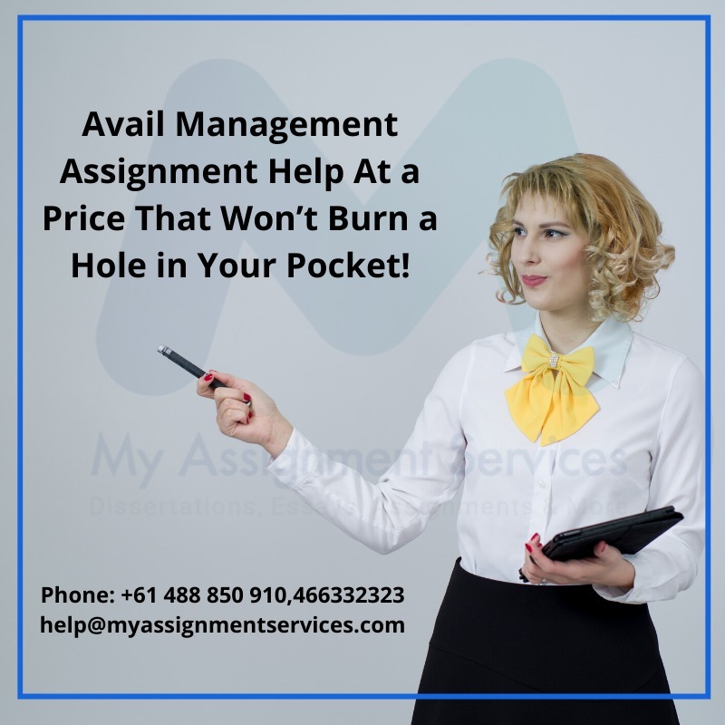 MY ASSIGNMENT SERVICES