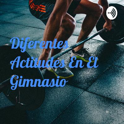 Tipos de personas en el Gymnasio