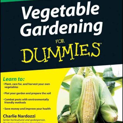 Vegetable Gardening For Dummies — Backyard Gardens and the Hidden Food System