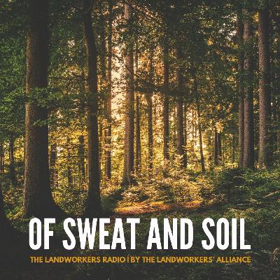 Roots: Of Sweat And Soil Roots: Of Sweat And Soil