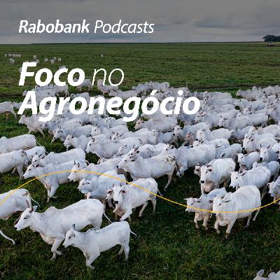 Olho no Mercado | Brasil é certificado como livre de febre aftosa sem vacinação