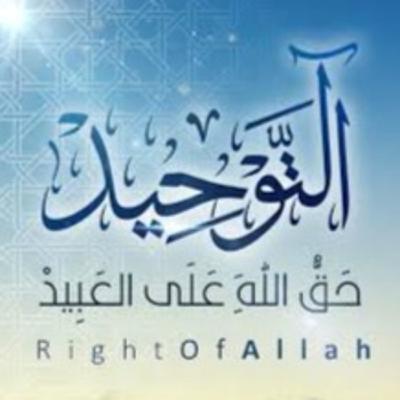 شرح كتاب التوحيد - للشيخ محمد بن عبد الوهاب - (22) - الشيخ عثمان الخميس