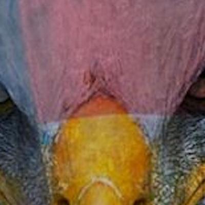 The Power of Being R.E.L.E.N.T.L.E.S.S: Goal Setting The Power of Being R.E.L.E.N.T.L.E.S.S: Goal Setting