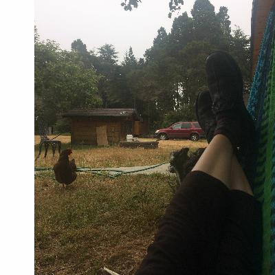 S1E17 - Naps: How Can Our Bodies and Minds Rejuvenate?