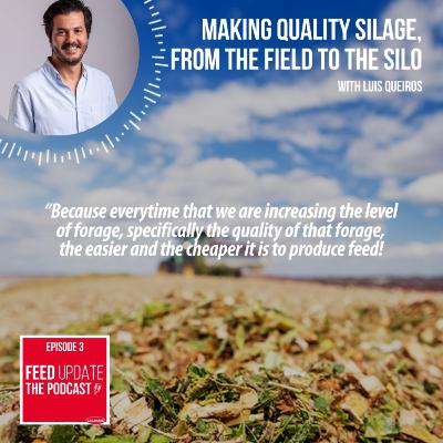Ep. #3 | Making quality silage, from the field to the silo, with Luis Queiros