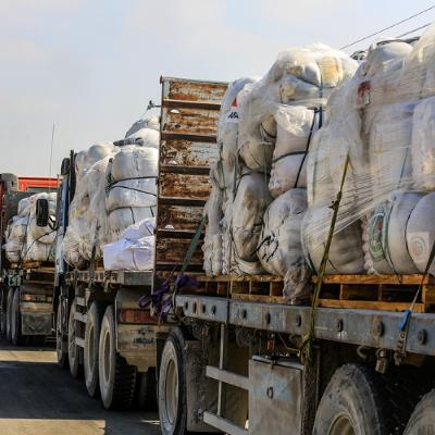 786 - מלכי הרעב