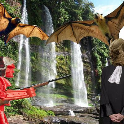 Bickerbots Presents: Bat Hunters