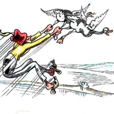 Der Vogel, scheint mir, hat Humor - Eine Stunde Klassik! Von Jürgen Plich