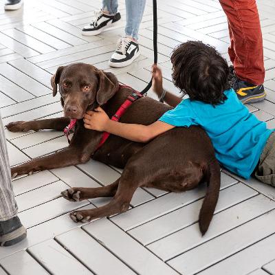 Huellas Compartidas #2.- Lula