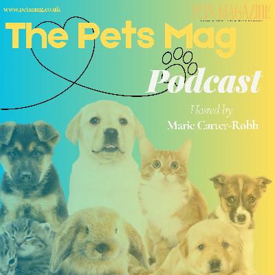 Ep 12: Broadcaster Carole Malone & Murphy her Tibetan Terrier Ep 12: Broadcaster Carole Malone & Murphy her Tibetan Terrier