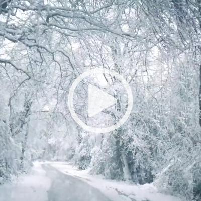Blizzard Sounds for Sleep & Relaxation (1-hour video)