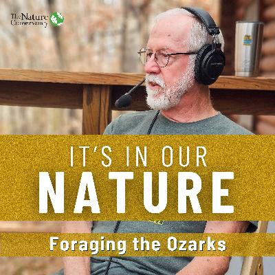 Foraging the Ozarks: A Conversation with Bo Brown