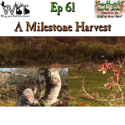 A Milestone Harvest A Milestone Harvest