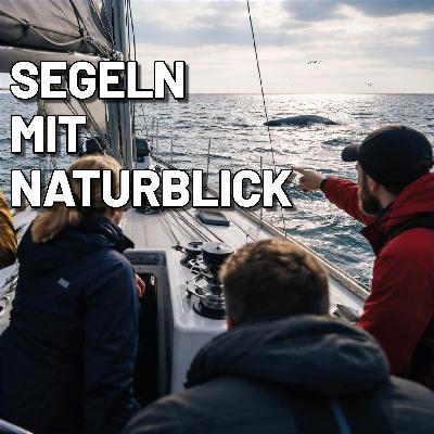 Wie du beim Segeln zum Nature Guide wirst und Wale, Robben und Otter achtsam beobachtest