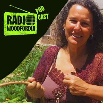 Peace Trains, Permaculture and All Night Chai with Robin Clayfield