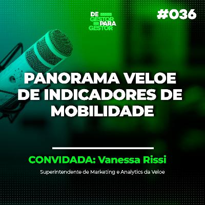 Panorama Veloe de Indicadores de Mobilidade
