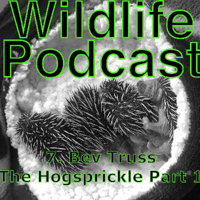 7. Bev Truss / The Hogsprickle