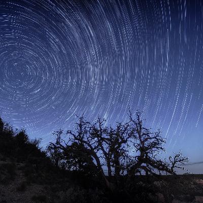 Sarah McVeigh meets the Aussie dudes brewing ayahuasca Sarah McVeigh meets the Aussie dudes brewing ayahuasca