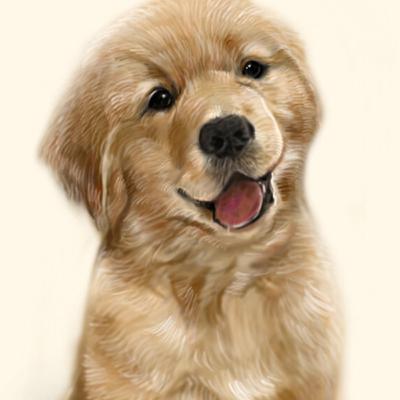 Using Animal Companions In Starfinder Using Animal Companions In Starfinder