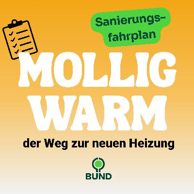 Folge 4 Der individuelle Sanierungsfahrplan