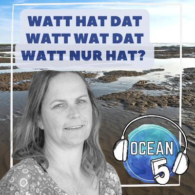 #MeerKlima 4: Watt hat dat Watt wat dat Watt nur hat? Ein Gespräch mit Claudia Baller