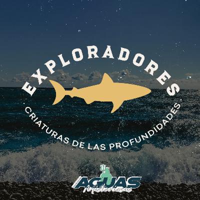 3 | Exploradores: Criaturas de las Profundidades. 3 | Exploradores: Criaturas de las Profundidades.