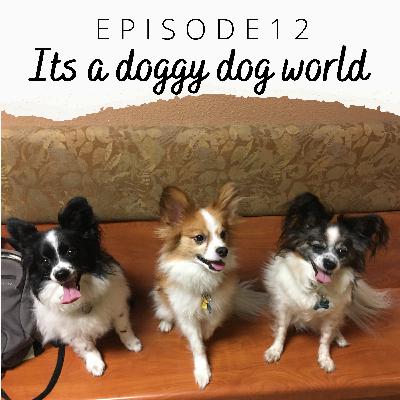 EP 12: Its a doggy dog world