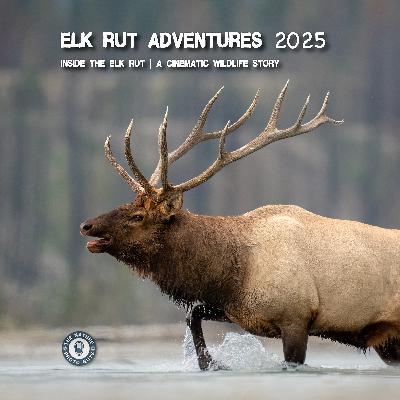 Elk Rut Adventures 2025 | Inside the Elk Rut | A Cinematic Wildlife Story Elk Rut Adventures 2025 | Inside the Elk Rut | A Cinematic Wildlife Story