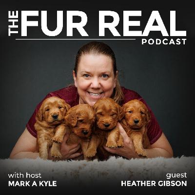 "BIG HEARTED: Better Dogs, Better Lives" with Heather Gibson
