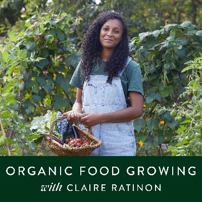 Gardening: An organic approach to growing food with Claire Ratinon Gardening: An organic approach to growing food with Claire Ratinon