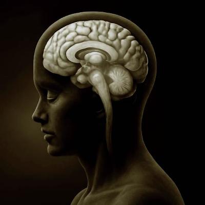 איך רגע הופך לזיכרון? - פרק 3