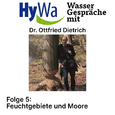 Feuchtgebiete und Moore